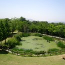 경상남도산림환경연구원 이미지