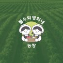 영희농장 이미지