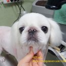 마린시티 종합동물병원 이미지