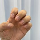 뷰티드플로르 이미지