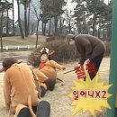 가평손두부 이미지