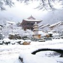 브이아이피여행사 이미지