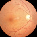 더 베이직 안경원 이미지