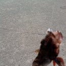 방파제낚시 이미지