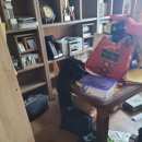 군산 사무실정리 쓰레기 청소 버려주는 업체