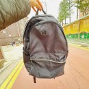 내돈내산 룰루레몬 에브리데이 백팩 2.0 Everyday Backpack 2.0 23L 후기