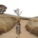 알미공원 화장실 이미지