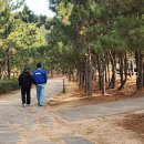 사하구-25 이미지