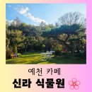 행복한 산책 | [예천 카페] 자연 속에서 힐링할 수 있는 카페 &#34;신라 식물원&#34; 행복한 방문 후기