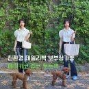 앤씨에이 | 친환경 데일리백 여자보부상가방 에이키코 주코 토트백