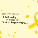 11 이미지