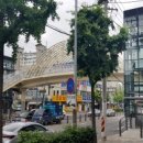 서울가곡초등학교 이미지