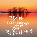 캘리그래피 이미지