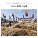 29 | 기지시줄다리기축제 충남 당진 29개월 아이와 가볼만한 축제