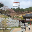 화암사 가는길 | 강원도 고성 가볼만한곳 금강산 화암사 사찰 여행 벚꽃 전망대