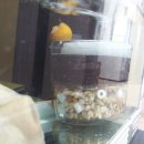 애플여관 이미지