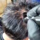 사   포 | 내돈내산 올리브영 포뷰트 두피타투 찐후기 비포 에프터 후기