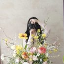 라포레드희논현