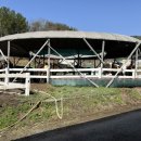 울산EDA승마장 이미지