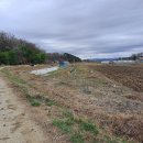 운천역공인중개사사무소 이미지