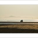 신두리해수욕장 이미지