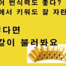 햇빛좋은피티 이미지