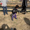 주렴농장 이미지