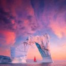 인간행동과사회환경 이미지