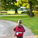 주정차-44 이미지