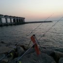 로드헌터 이미지