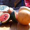 숲속나라 어린이집 이미지