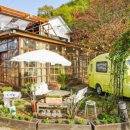 프린세스애견 이미지