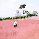 풍요로운 기다림 이미지