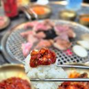 예랑뒷고기 | 수원 성대역 맛집｜율전동 다오생뒷고기 숯불구이 가성비 후기