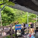 천동 | 단양 천동동굴 수영장 후기｜제천에서 40분, 아이들과 당일치기 물놀이 추천