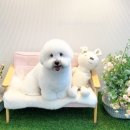 몽톡 이미지