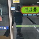 CU정동진으뜸점 | 뚜벅이들의 파랑새투어 타고 정동진 첫 해돋이와 대관령 하늘 목장 후기