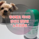 댕댕# | [보미의일상] 강아지 기관지 영양제 추천 - 최애 영양제 브랜드 ‘헬로마이펫 뉴트리댕댕’ 후기