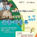 행복한 곤충 이미지
