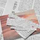 오월1호 태양광발전소 | 25년 10월 3주차 신문스크랩