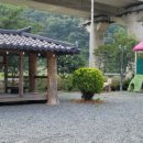 돌고래풀하우스