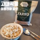파로곡물 고대곡물 저당쌀 먹는법 이탈리아 파로 [셀더바이]