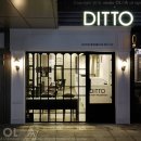 DITTO헤어(디토헤어) 이미지