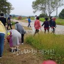 논산시농업기술센터 이미지