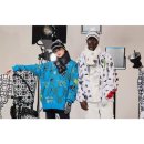 페르시안캣 이미지