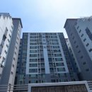 진남초교병설유치원 이미지