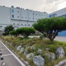 옥산조경 - 양천구 목동중앙서로7길 16-14 | 옥산조경