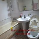 완월동197 이미지