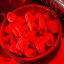 대덕대로-8 | [대전맛집] 아침8시까지 핫한 술집 불장난 방문 후기