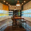 수원고양이분양 나비캣 이미지